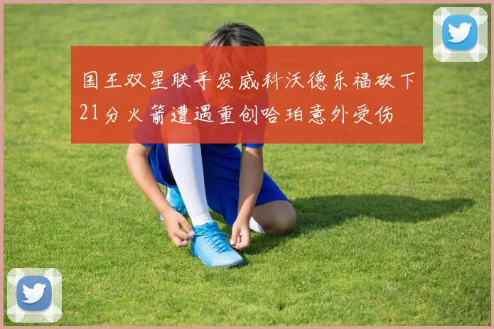 国王双星联手发威科沃德乐福砍下21分火箭遭遇重创哈珀意外受伤